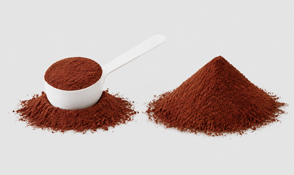 Reishi – Extracto en polvo 100 g