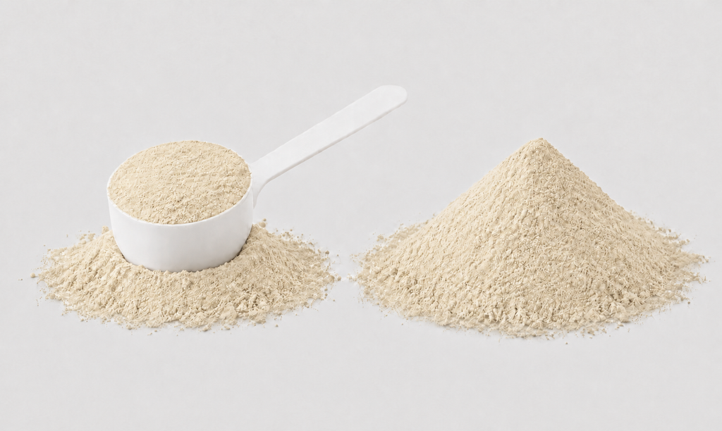 Melena de León – Extracto en polvo 100 g