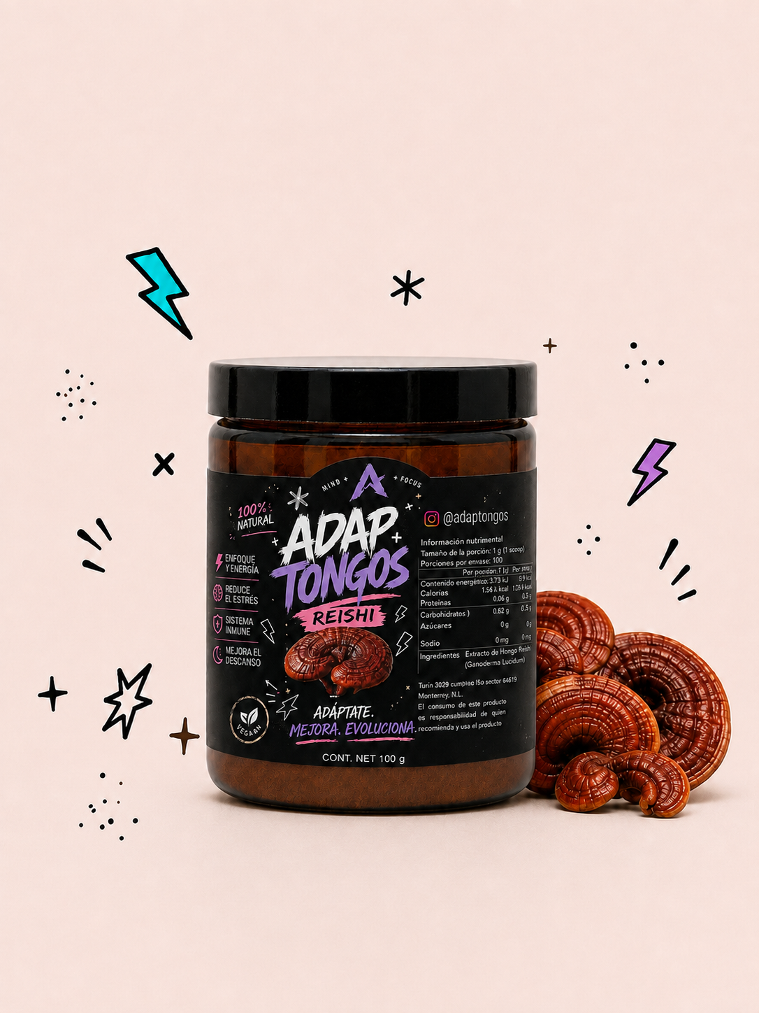 Reishi – Extracto en polvo 100 g